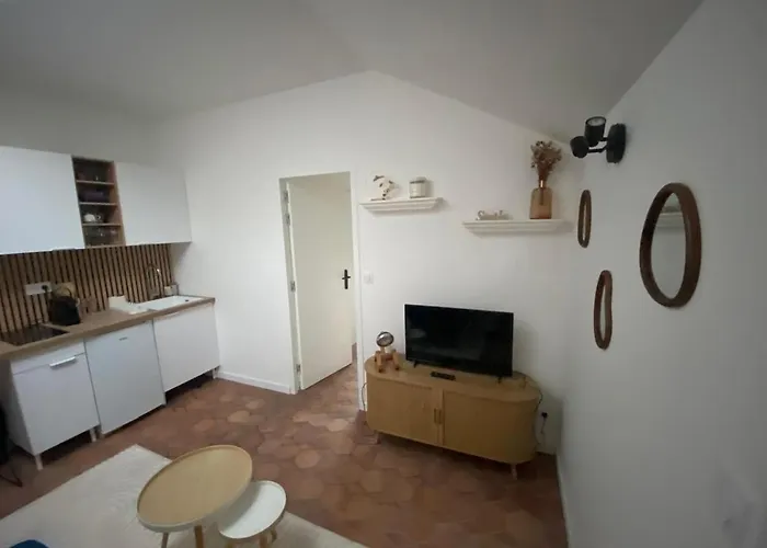 T1 Cosy Quartier Du Sart D'ascq